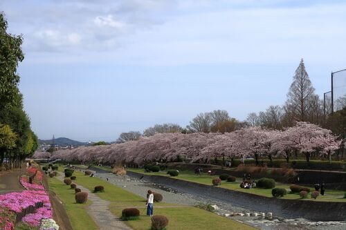 🏞️ 하타노시 컬처 파크(하다노시 카루챠 파쿠) 이미지 1
